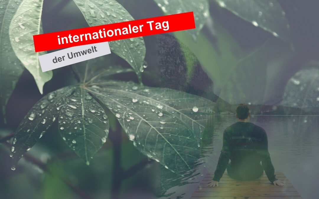 Internationale Tag der Umwelt